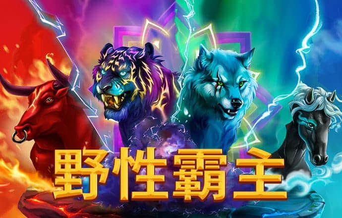 55sj世纪首页登录